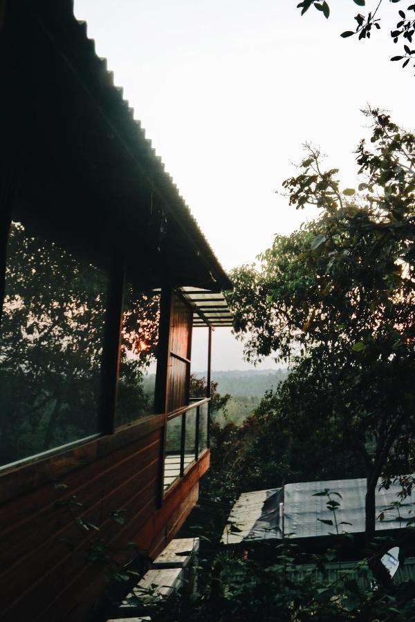 Amazonika Boutique Resort 아르포라 외부 사진