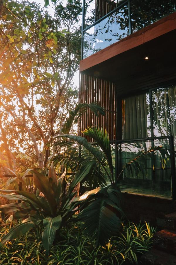 Amazonika Boutique Resort 아르포라 외부 사진
