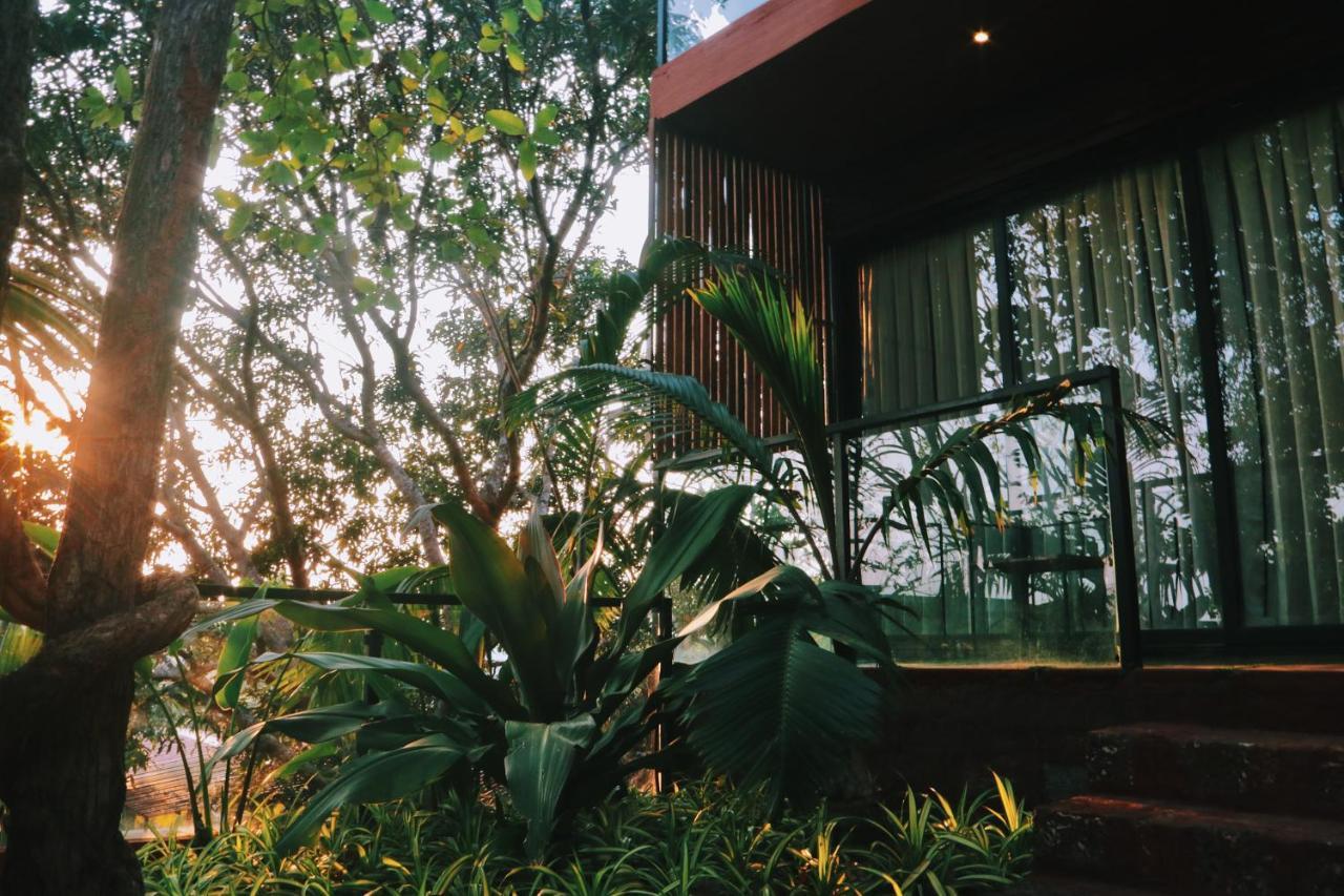 Amazonika Boutique Resort 아르포라 외부 사진