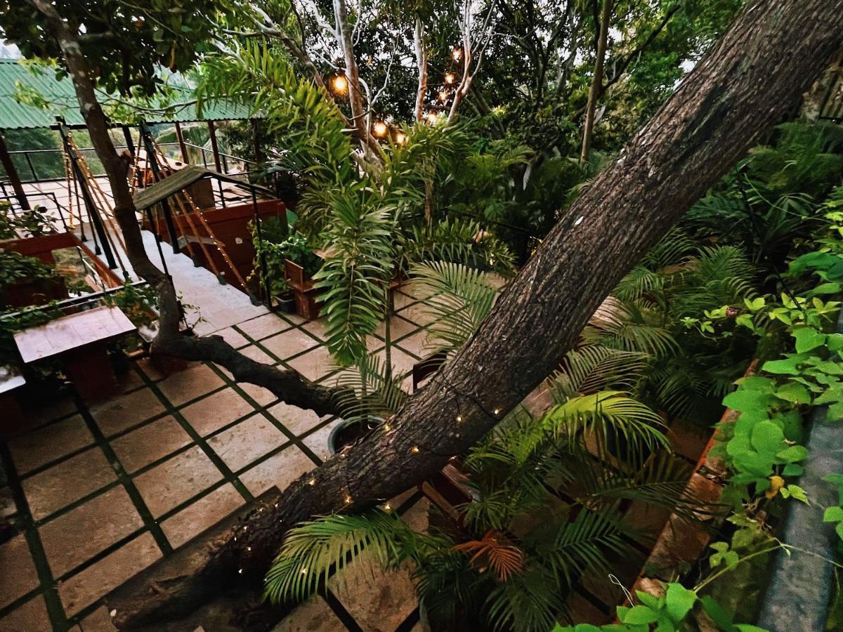 Amazonika Boutique Resort 아르포라 외부 사진